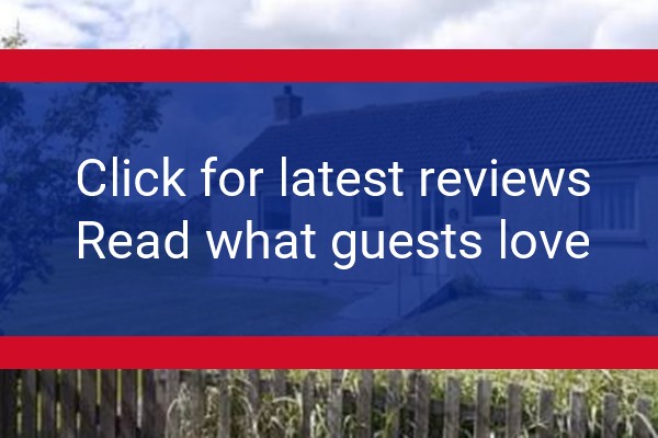 www.orkneyselfcateringholiday.co.uk - check out latest independent reviews