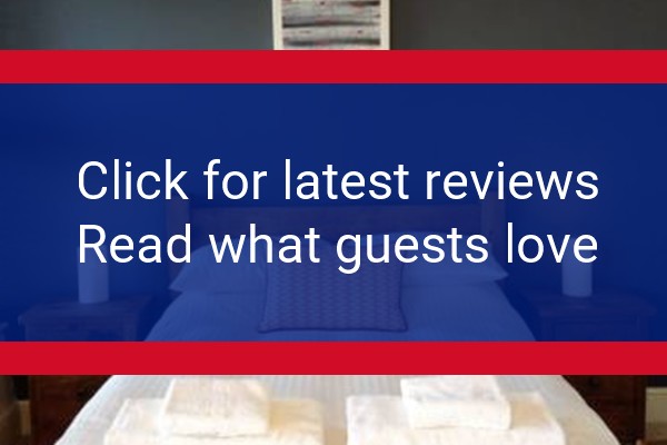 www.oystercatcherstives.uk - check out latest independent reviews