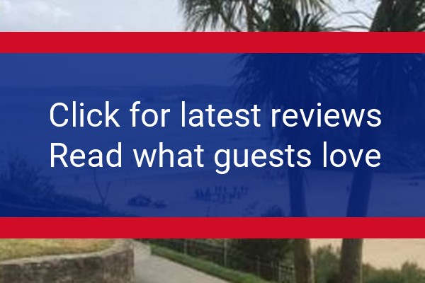 www.palacesurflodge.com - check out latest independent reviews