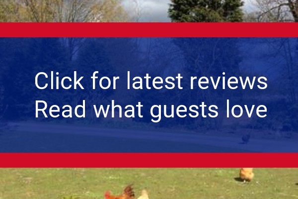 www.paullholmefarmbedandbreakfast.co.uk - check out latest independent reviews