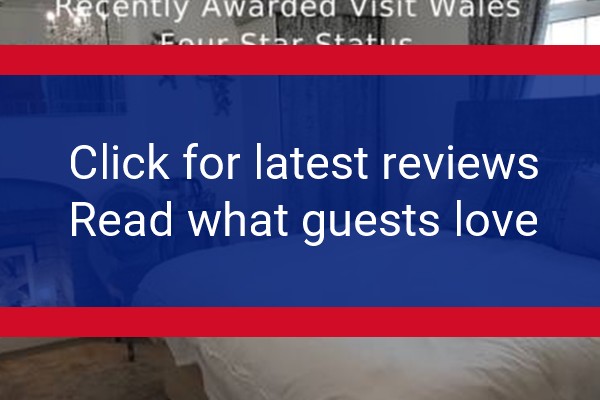 www.pebblesporthcawl.co.uk - check out latest independent reviews