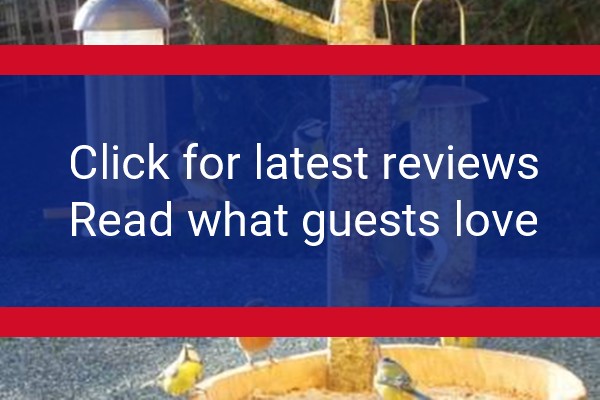 www.pembrokeshirestay.co.uk - check out latest independent reviews