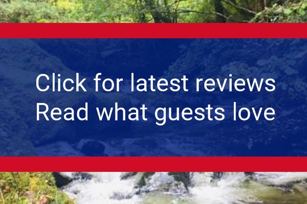 www.penygraig.org - check out latest independent reviews