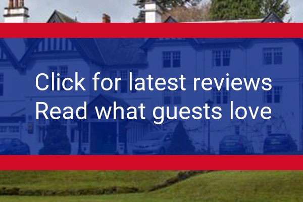 www.pinetreeshotel.co.uk - check out latest independent reviews
