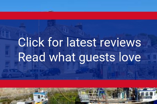 www.pittenweemharbour.co.uk - check out latest independent reviews