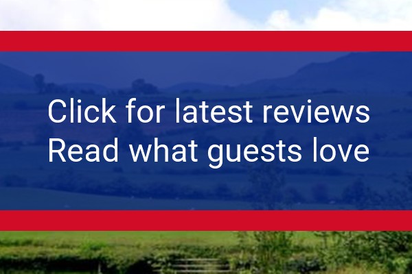 www.plaishparkfarm.co.uk - check out latest independent reviews