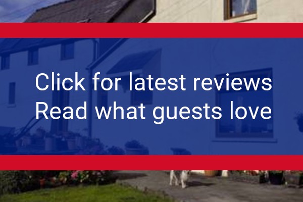 www.plasnewyddbandb.co.uk - check out latest independent reviews