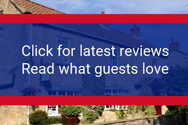 www.plumptoncourt.com - check out latest independent reviews
