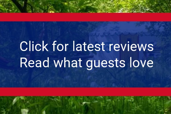 www.plushtentsglamping.co.uk - check out latest independent reviews