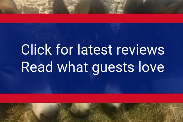 www.puffincroft.com - check out latest independent reviews