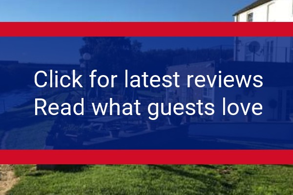 www.pyewipe.co.uk - check out latest independent reviews