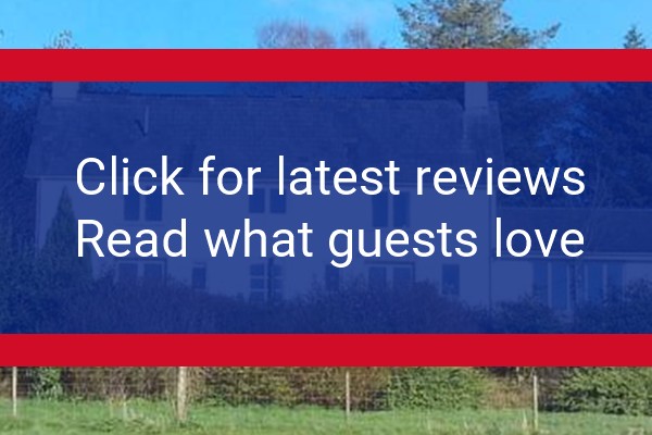 www.pyleguesthouse.com - check out latest independent reviews