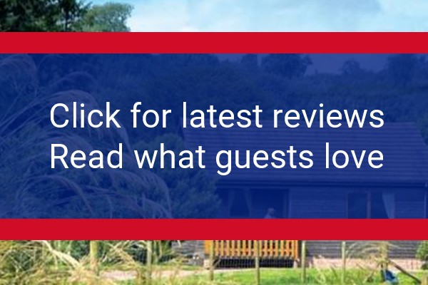 www.queenshill.co.uk - check out latest independent reviews
