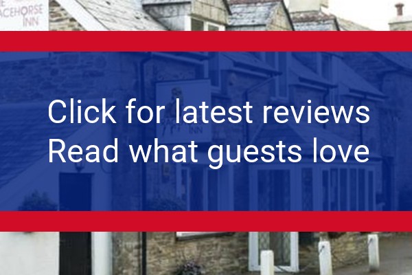 www.racehorseinn.co.uk - check out latest independent reviews