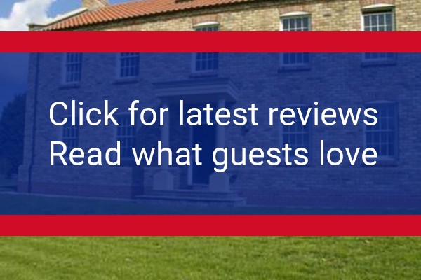 www.rascalwood.com - check out latest independent reviews