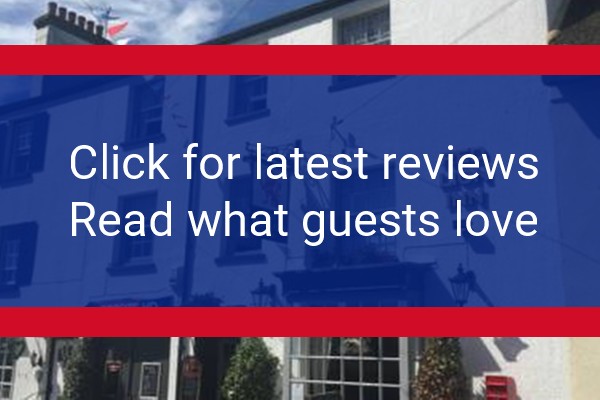 www.redlioninnsidbury.co.uk - check out latest independent reviews