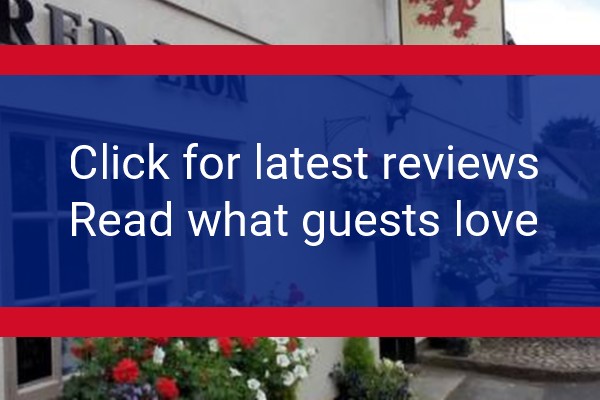 www.redlionlittlebudworth.com - check out latest independent reviews