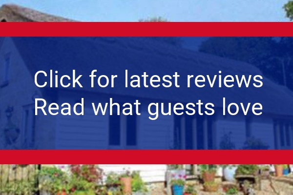 www.reysonsfarm.com - check out latest independent reviews