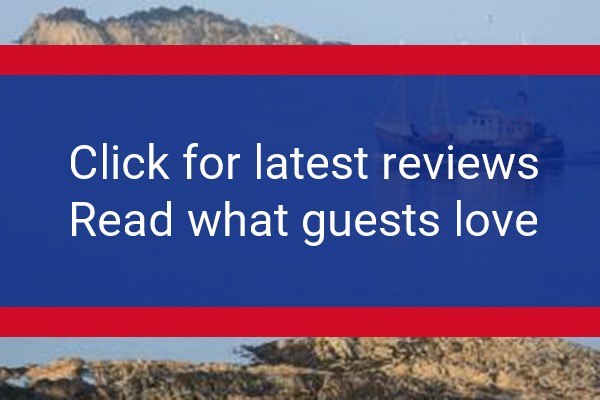 www.ringfad.co - check out latest independent reviews