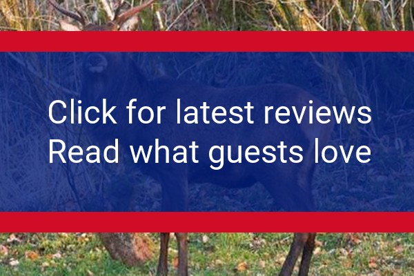 www.riversidecottage.biz - check out latest independent reviews