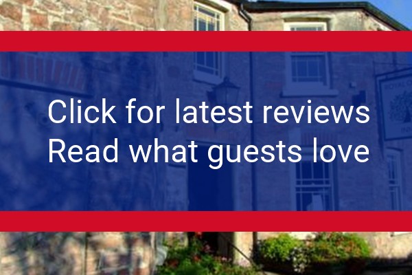 www.royaloakcornwall.com - check out latest independent reviews