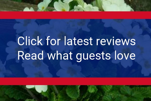 www.royaloakkeswick.co.uk - check out latest independent reviews