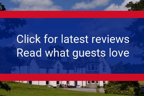 www.saplinbrae.co.uk - check out latest independent reviews