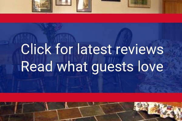 www.selecthealthcaregroup.com - check out latest independent reviews