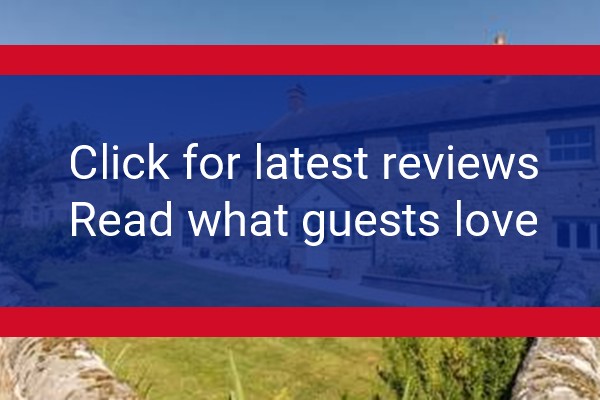 www.shellbraes.com - check out latest independent reviews