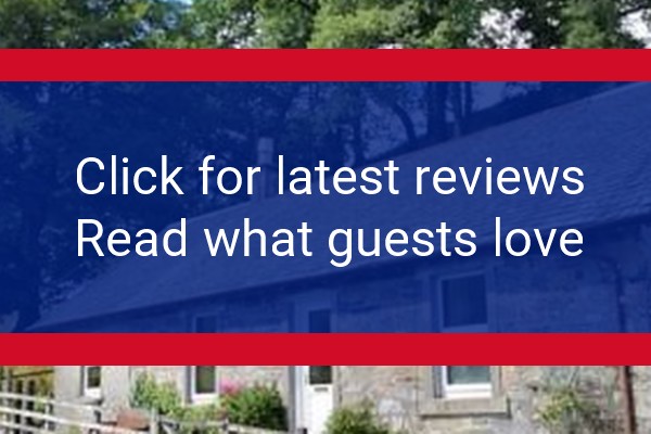 www.shemoreonlochlomond.com - check out latest independent reviews