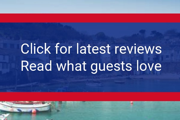 www.shipinnmousehole.co.uk - check out latest independent reviews