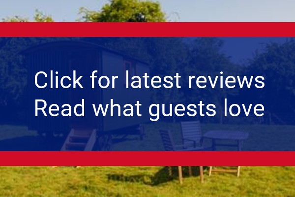 www.sindlesfarm.co.uk - check out latest independent reviews