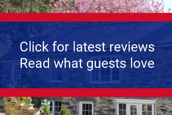www.snowdoniabedandbreakfast.co.uk - check out latest independent reviews