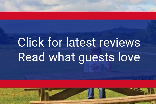 www.spindlewoodlodges.co.uk - check out latest independent reviews