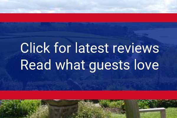 www.springfield-instow.co.uk - check out latest independent reviews