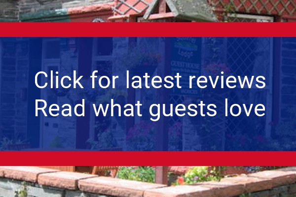 www.squirrellodge.co.uk - check out latest independent reviews