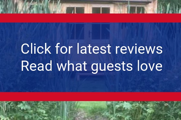 www.squirrelwoodcampsite.co.uk - check out latest independent reviews