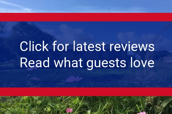 www.st-tinney.co.uk - check out latest independent reviews