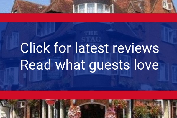www.stag-hotel.co.uk - check out latest independent reviews