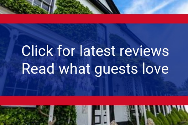 www.stathamlodge.com - check out latest independent reviews