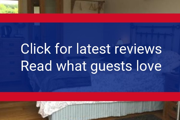 www.stayatbrynderw.co.uk - check out latest independent reviews