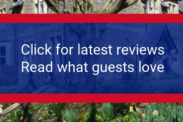 www.stdavidsguesthouse.com - check out latest independent reviews
