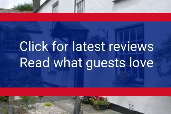 www.strattongardens.co.uk - check out latest independent reviews