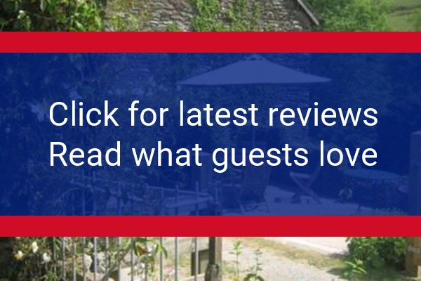 www.streamcombefarm.co.uk - check out latest independent reviews