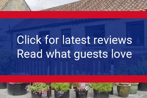 www.studleyhousefarm.co.uk - check out latest independent reviews