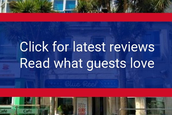 www.surfinnewquay.com - check out latest independent reviews