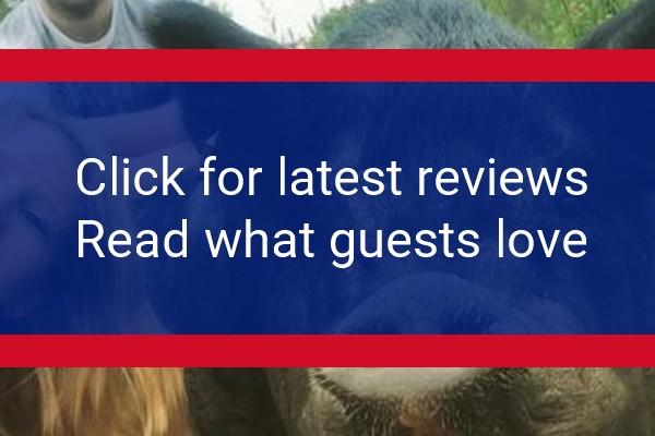 www.swallowsrestselfcatering.co.uk - check out latest independent reviews