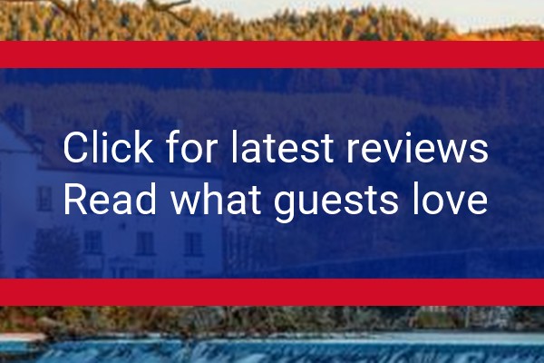 www.swanhotel.com - check out latest independent reviews