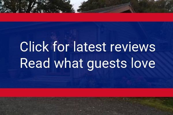 www.swansealogcabin.co.uk - check out latest independent reviews