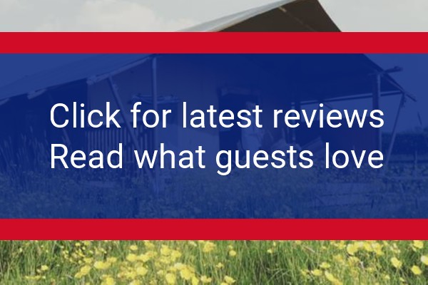 www.talltreesglamping.com - check out latest independent reviews